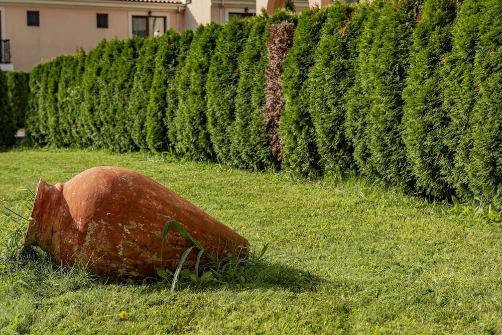 Dış mekân detayı