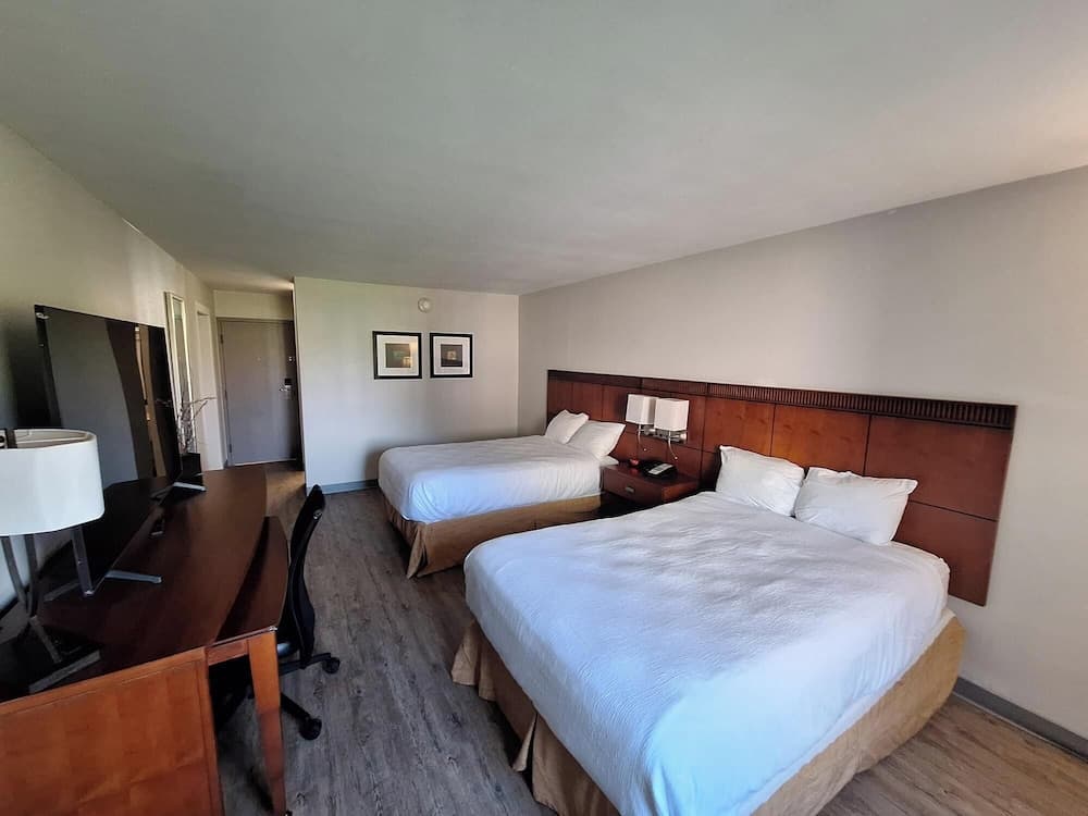 The Hotel Orange