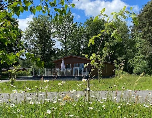 Hollicarrs - Honeycomb Lodge