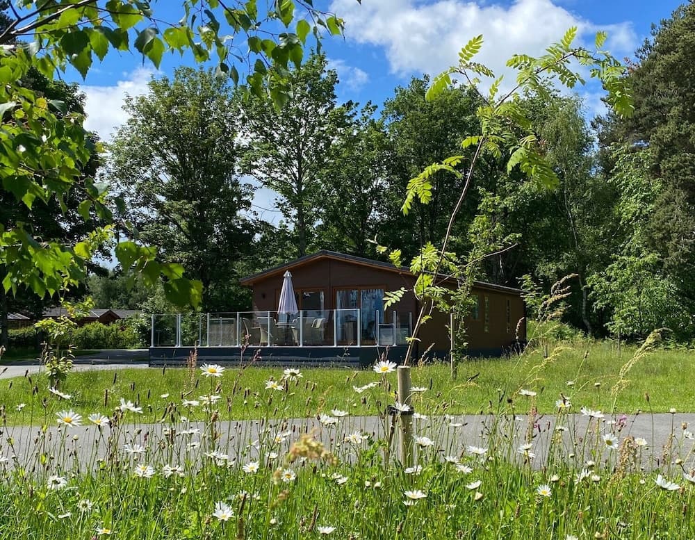 Hollicarrs - Honeycomb Lodge