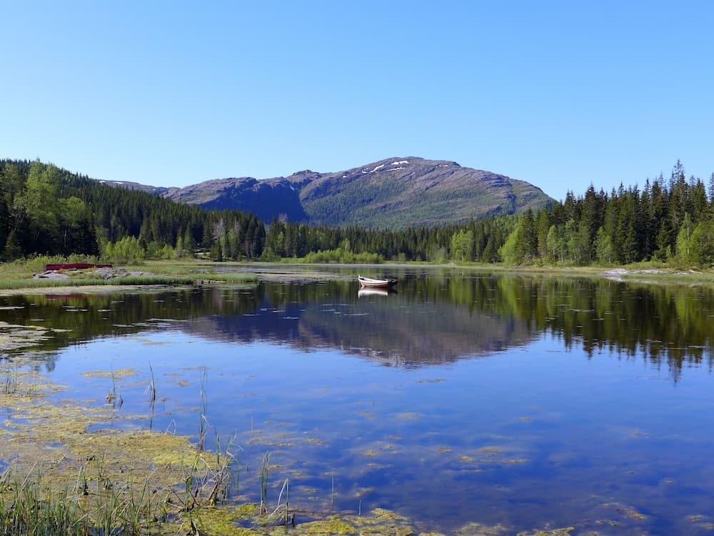 Velfjord camping & hytter