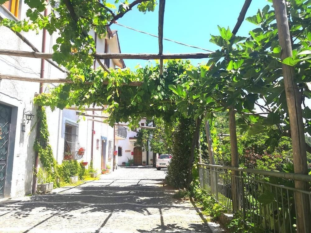 Agriturismo Il Castagno