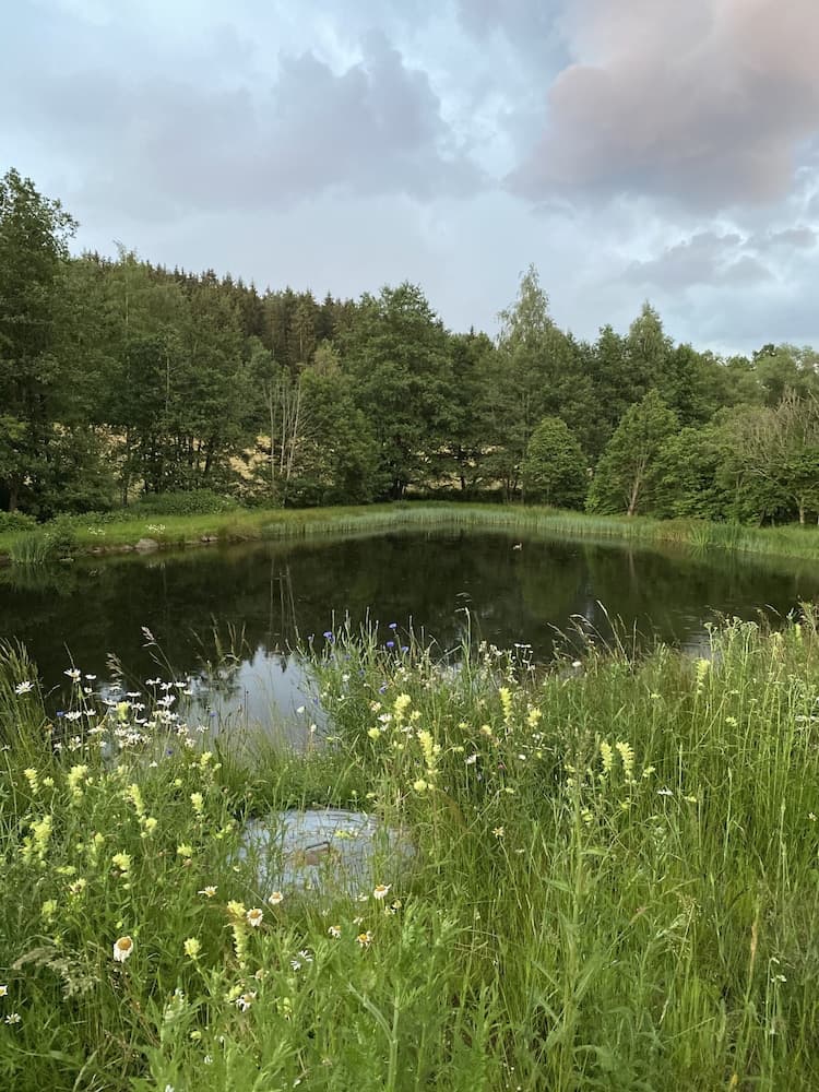 Dış mekân detayı