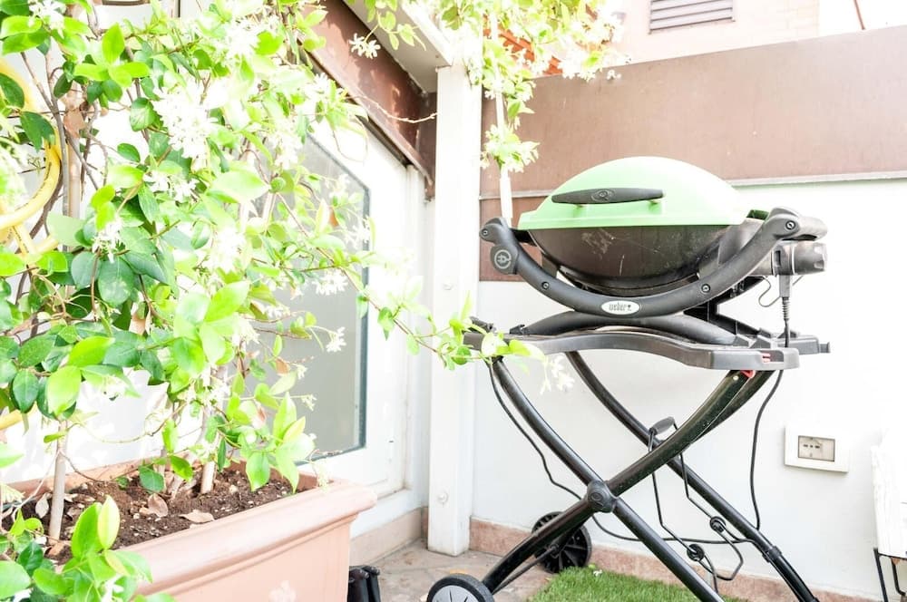 Barbekü/piknik alanı