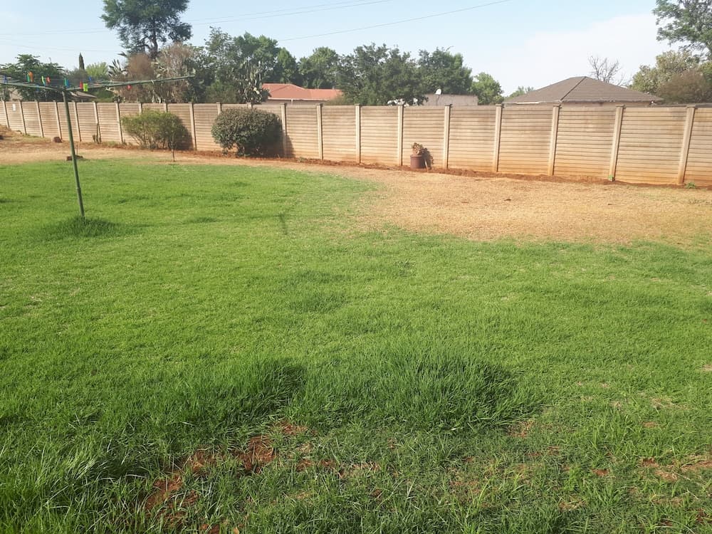 C - Land Guest House