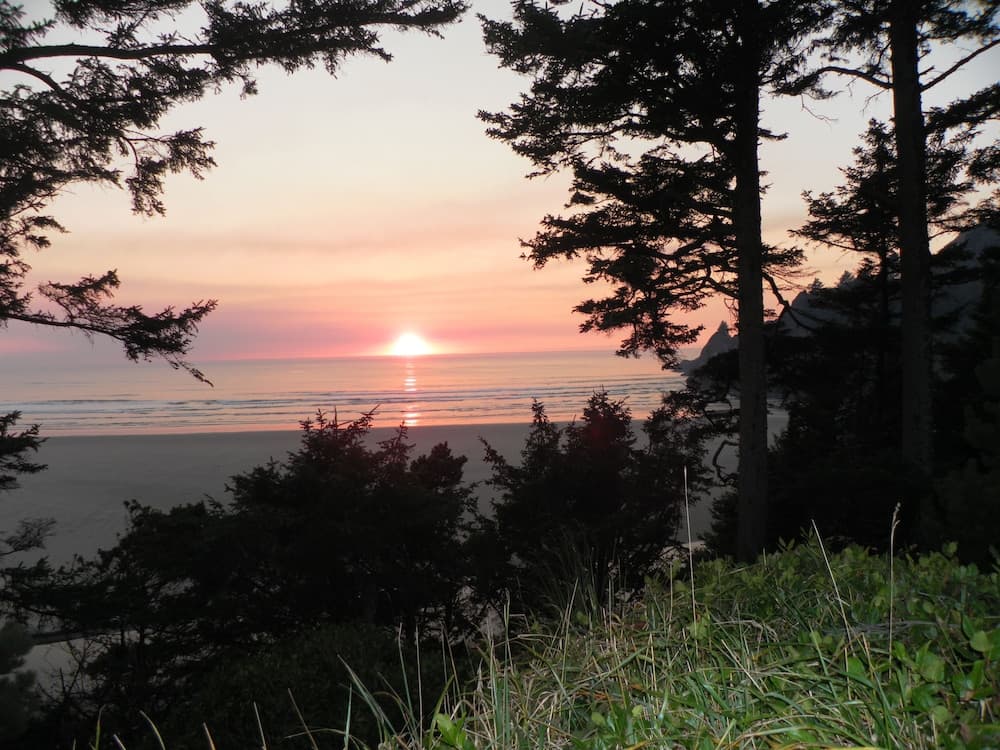 Tyee Lodge Oceanfront B&B