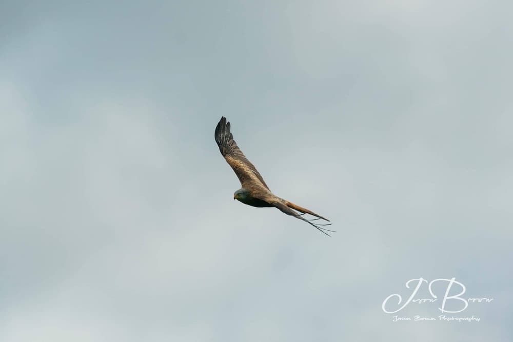 Konaklama yerinden manzara