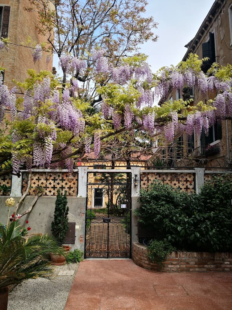 Cinqueteste Luxury Home Venice