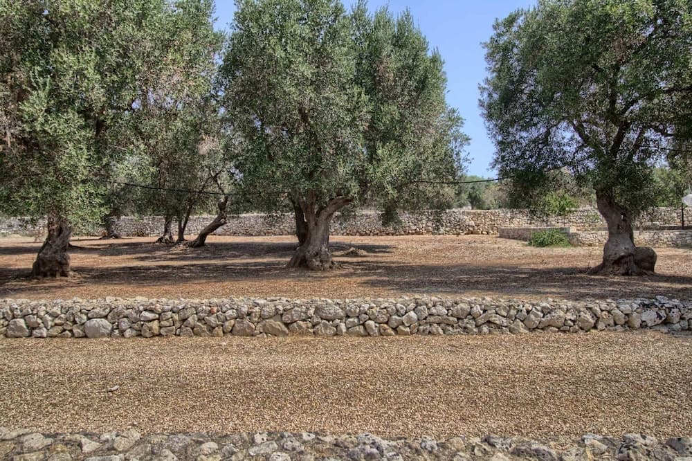 Konaklama yeri alanı