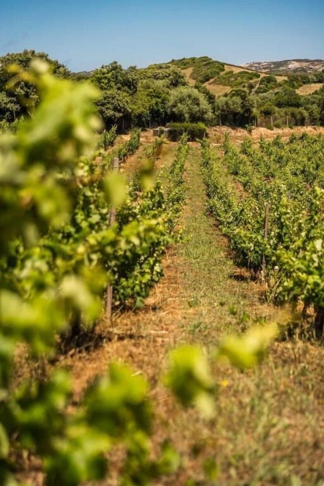 Konaklama yeri alanı