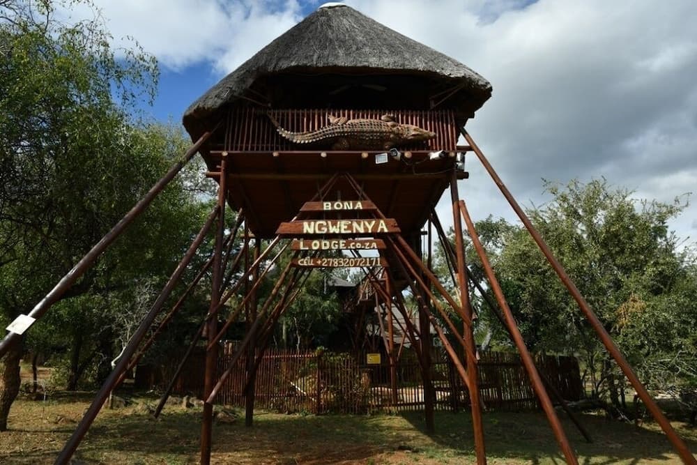 Bona Ngwenya Lodge