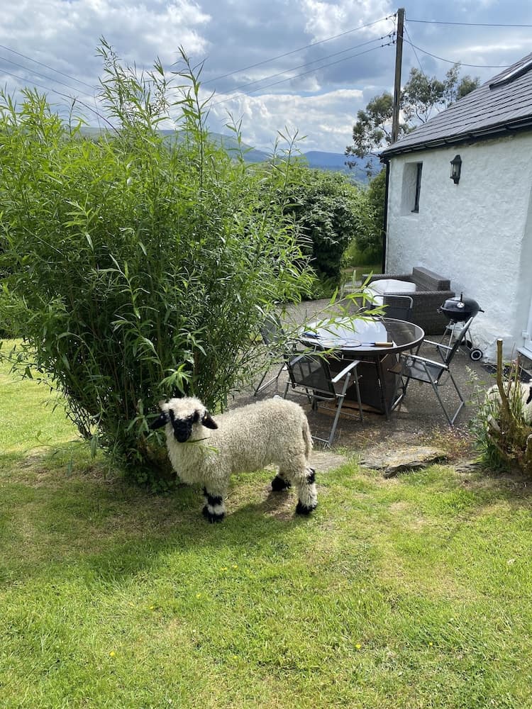 Konaklama yeri alanı