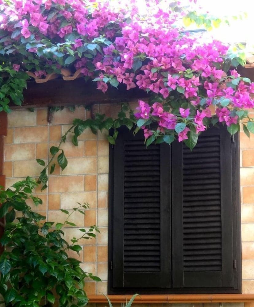 Dış mekân detayı