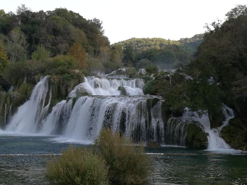 Ekoloji turları