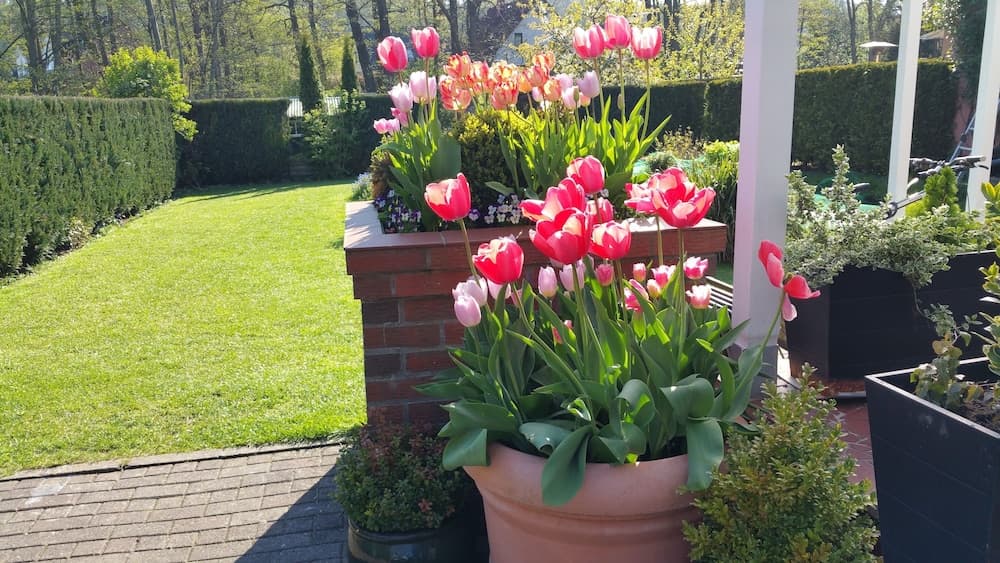 Hotel Pension Am Fuchsberg