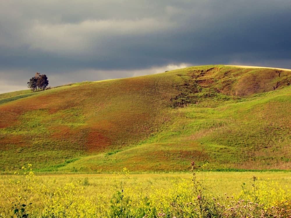 Konaklama yerinden manzara