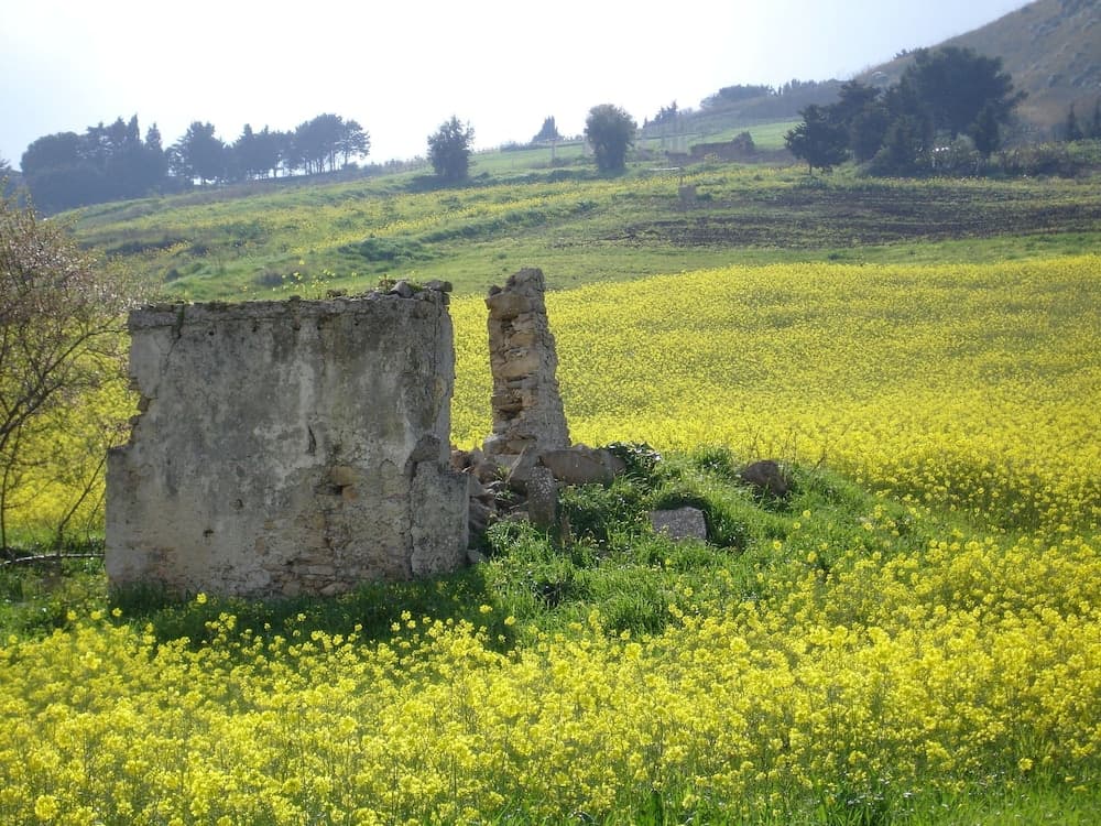 Konaklama yerinden manzara