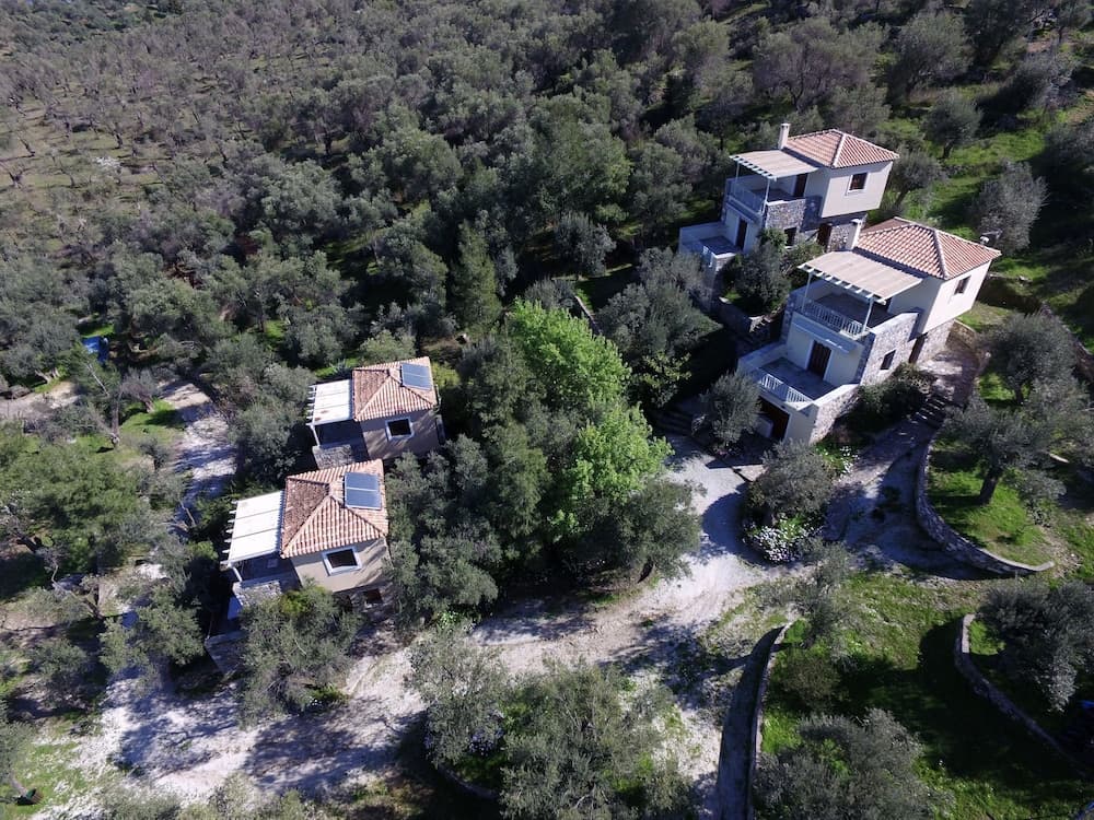 Gera's Olive Grove