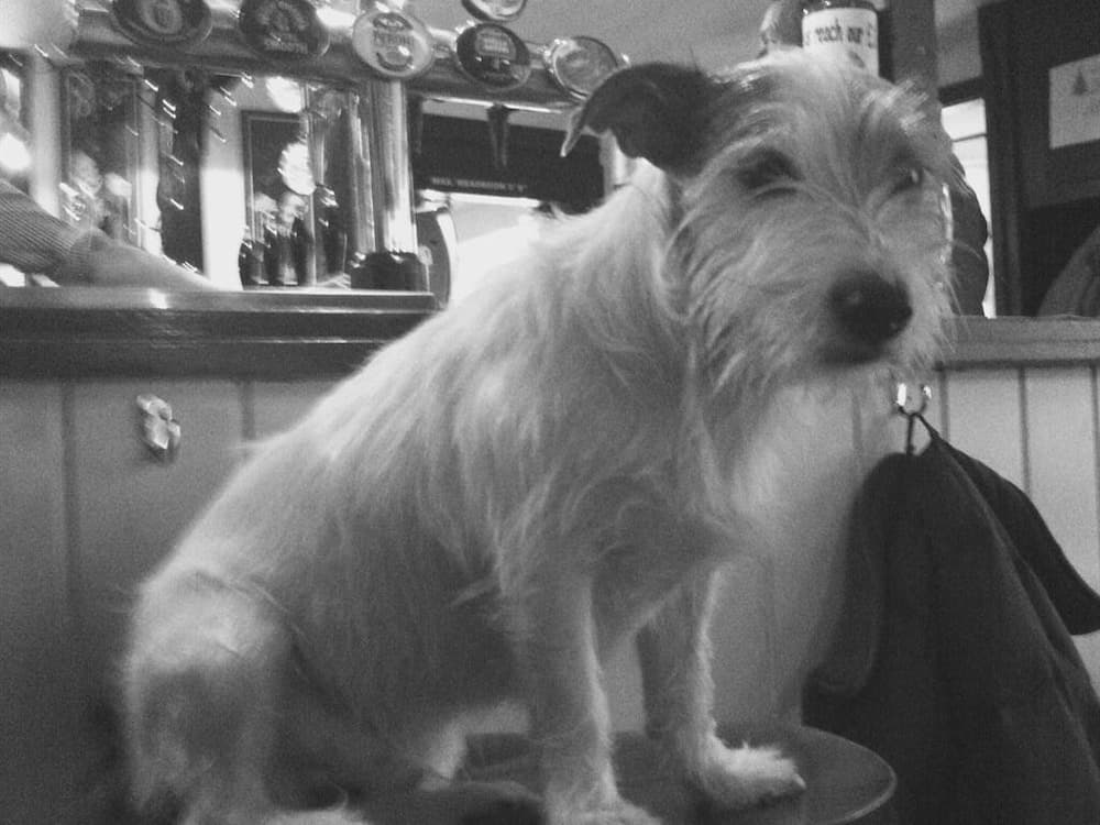 Bar (konaklama yerinde)