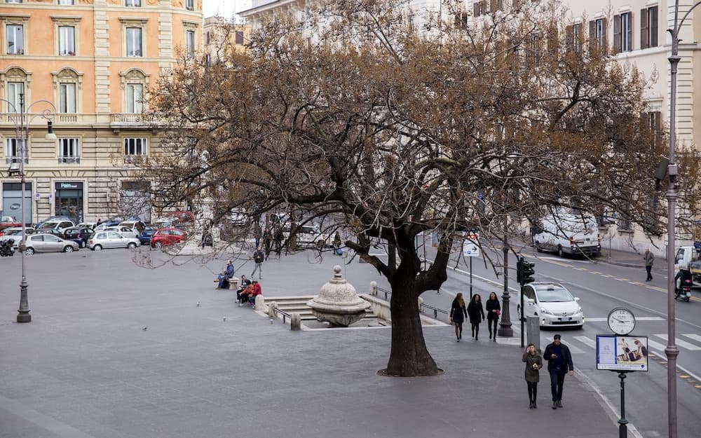 Konaklama yerinden manzara