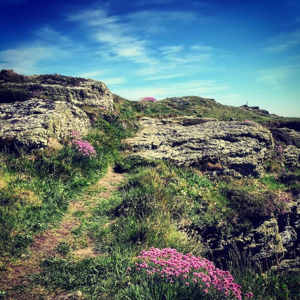 Konaklama yeri alanı