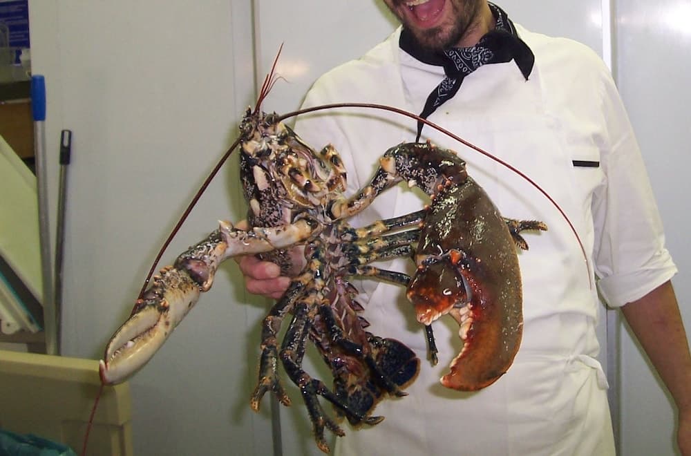 Hotel Ristorante ai Campi Di Marcello