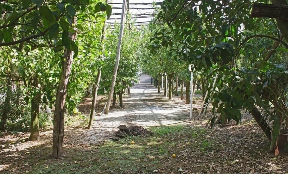 Konaklama yeri alanı