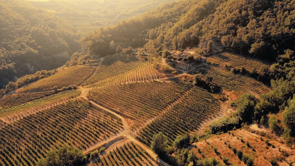 Cascina Bertolotto Wine Resort.