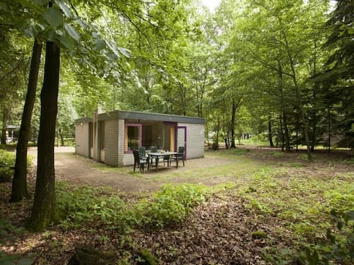 Tidy Bungalow Near the Veluwe