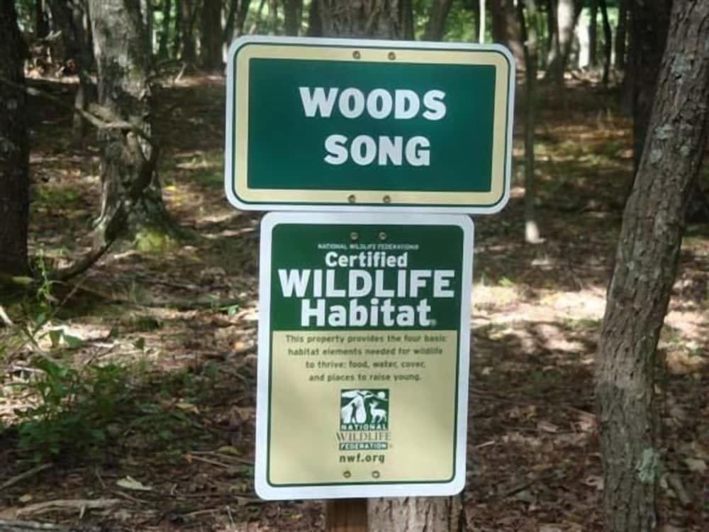 Woods Song - Natures Promise