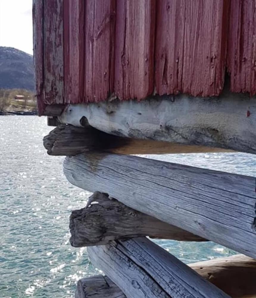 Balık tutma