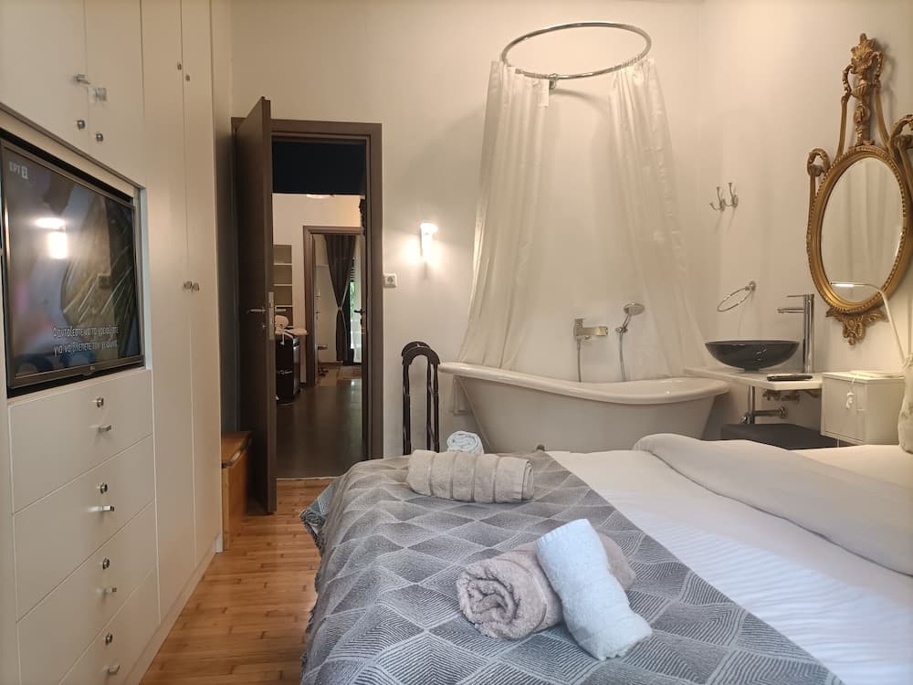 Elegant Apartment