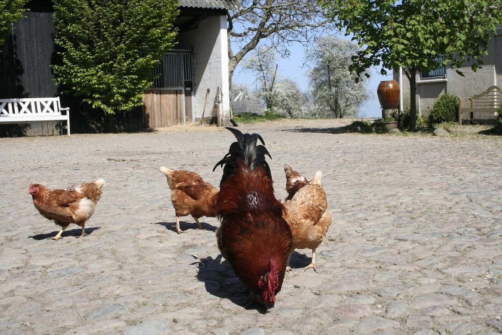Çocuk aktiviteleri