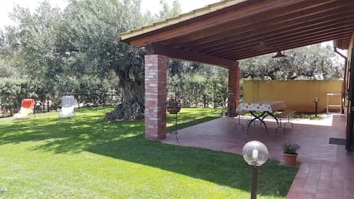 House Surrounded by Olive Trees