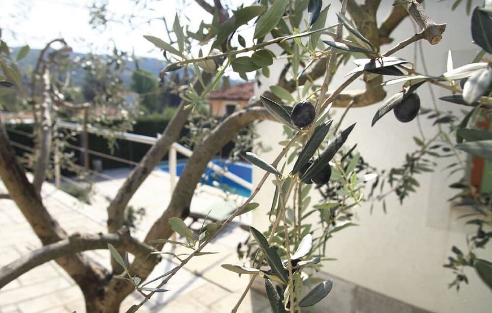 Dış mekân detayı