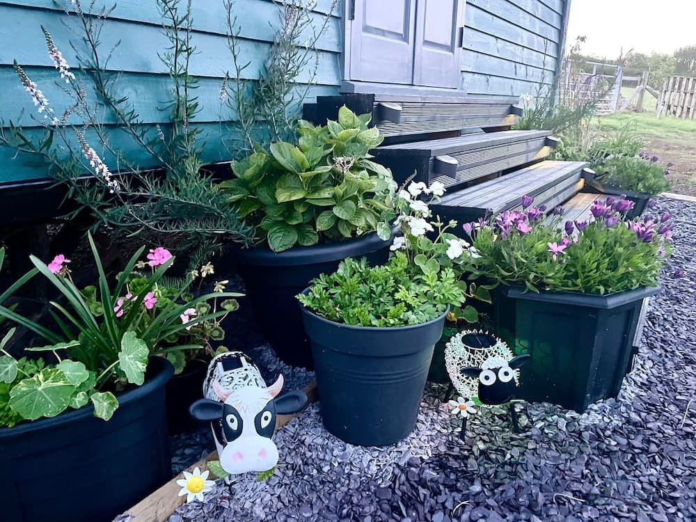 Konaklama yeri alanı