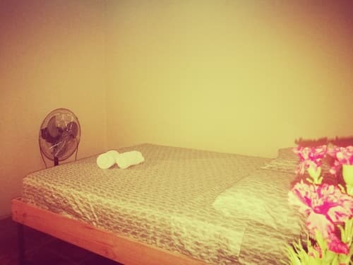 Guesthouse Morpho CR