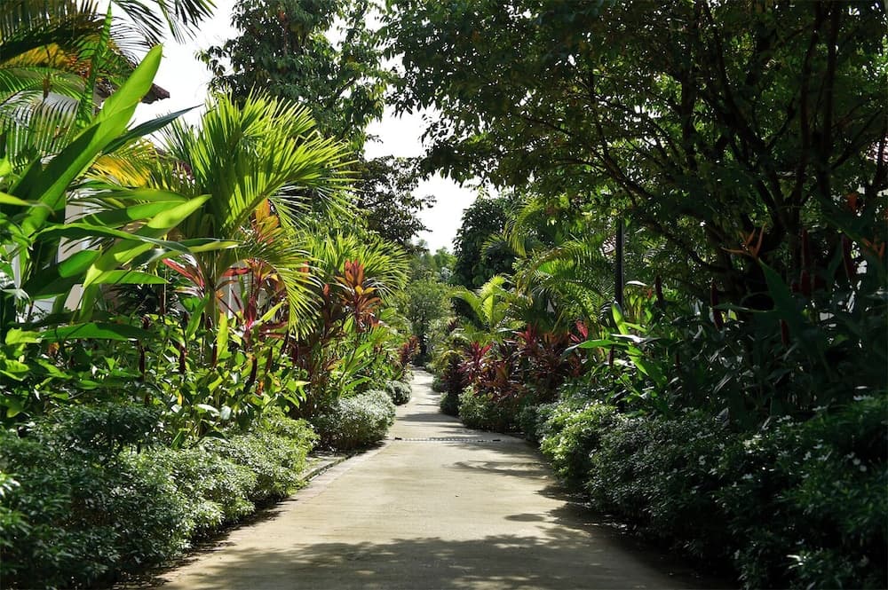 Rainforest Resort Phu Quoc