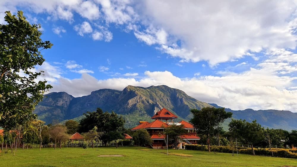 Avadale Masinagudi - Stag Groups Not Allowed