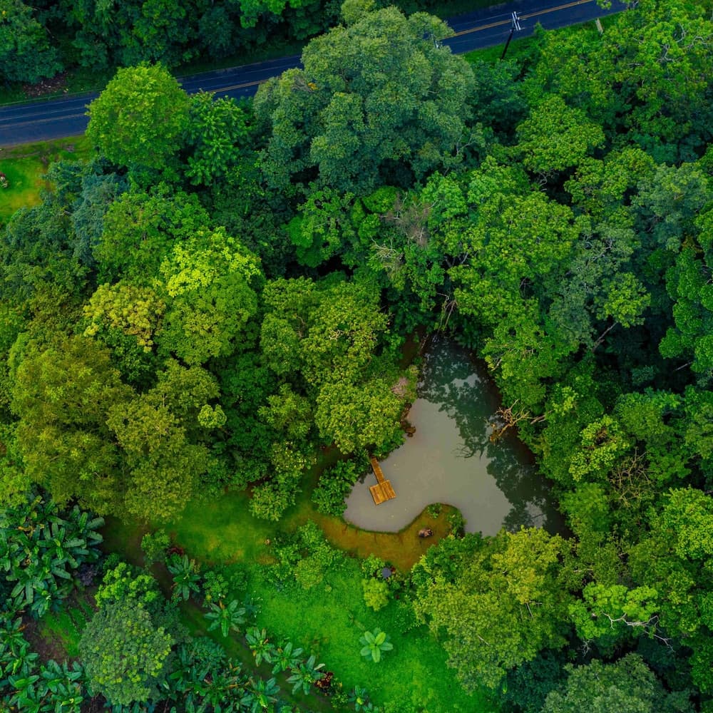 Santuario de Ranas Valle Azul