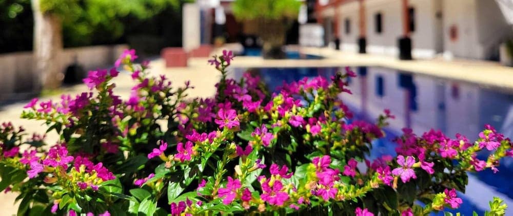 Surintra Boutique Resort