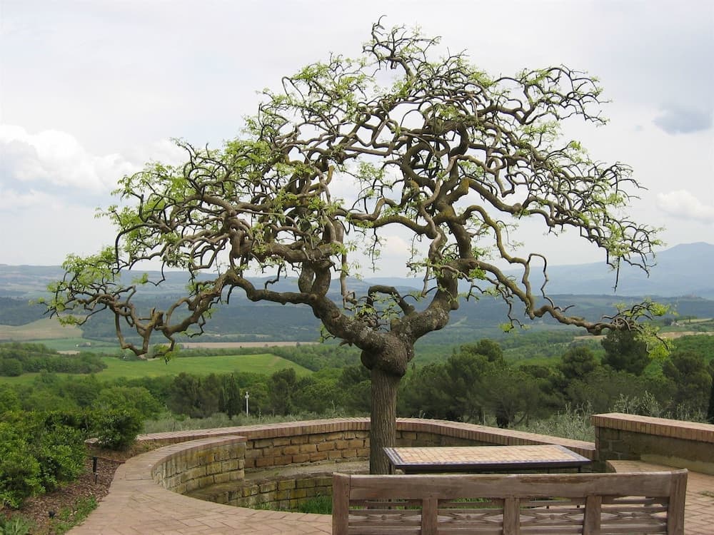 Konaklama yerinden manzara