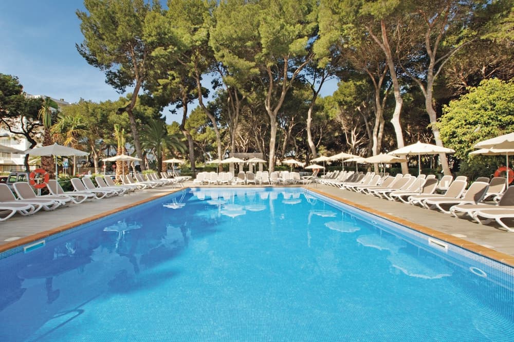 Hotel Riu Festival