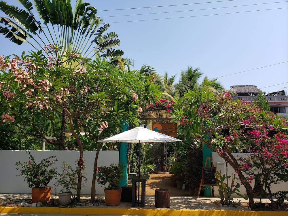 Villa Mozart y Macondo
