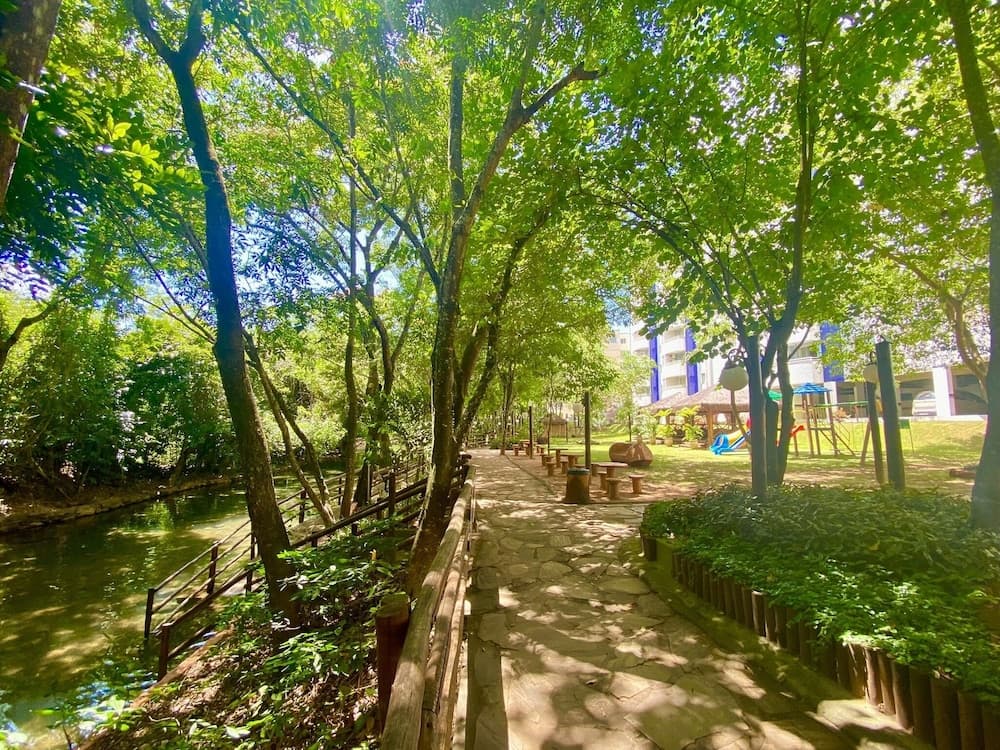 Doğal havuz