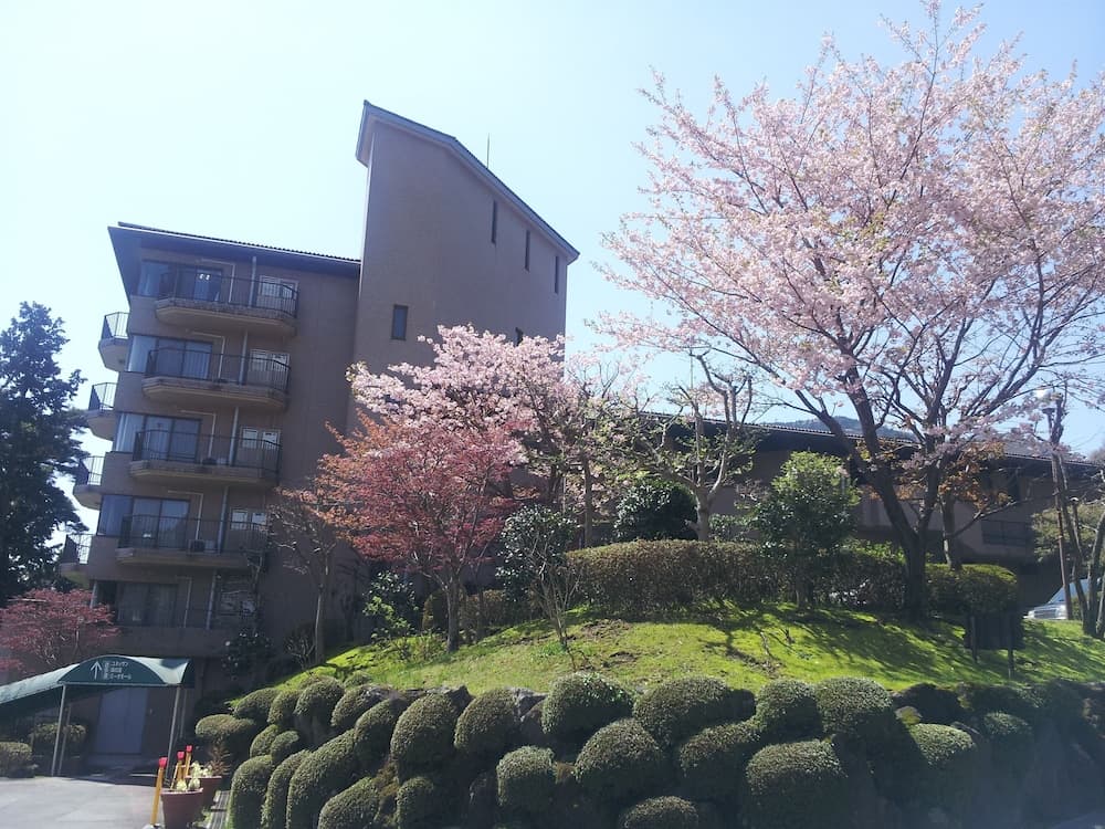 Wisterian Life Club Verde no Mori