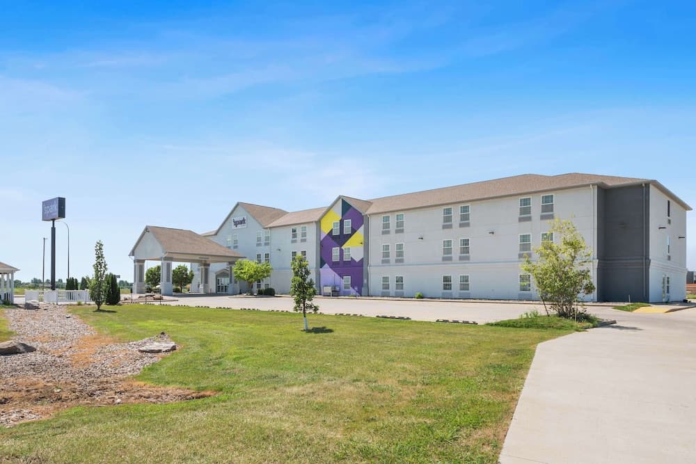 Spark by Hilton Minot