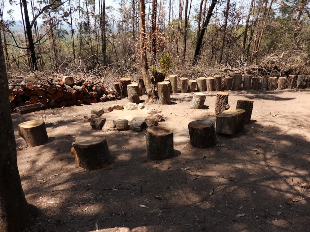 Barbekü/piknik alanı