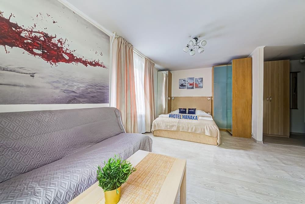 Apartment Hanaka Shumilova 20