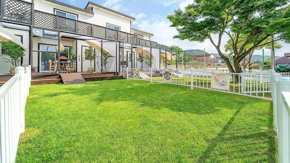 Yeosu Dangdangi Dog Family Pension Gold